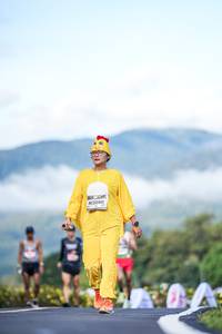 BIB: 
                            <button type="button" onclick="openModal(26542642)" class="btn btn-primary btn-sm float-right btn-popup" data-toggle="modal" data-target=".modal-high-quality">
                        <i class="fas fa-shopping-cart"></i> Add to Cart
                    </button>
                                            <button type="button" onclick="isThisMe(26542642, true)" class="btn btn-success btn-sm float-right btn-popup btn-isme hidden" data-toggle="tooltip" data-placement="bottom" title="นี่คือรูปของคุณใช่ไหม คลิกที่นี่เพื่อเอาเข้าอัลบั้ม">
                        <i class="fas fa-plus"></i> Add to album
                    </button>
                    <button type="button" onclick="isThisMe(26542642, false)" class="btn btn-warning btn-sm float-right btn-popup btn-isnotme hidden">
                        <i class="fas fa-ban"></i> Remove from album
                    </button>